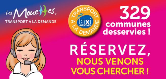 Visuel service TaxiMouettes